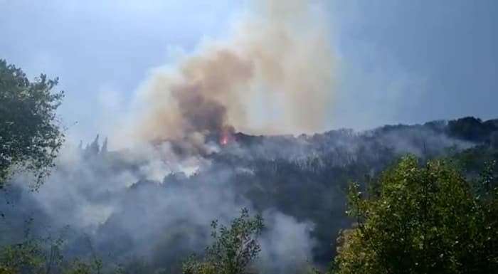 DEĞİRMENDERE'DE BESİ ÇİFTLĞİNDE YANGIN ! (VİDEO HABER)