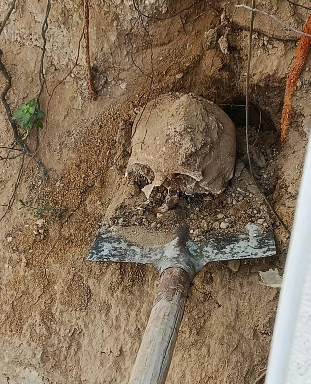 BAH&Ccedil;EDE YAPILAN KAZIDA İNSAN KAFATASI VE KEMİKLER BULUNDU