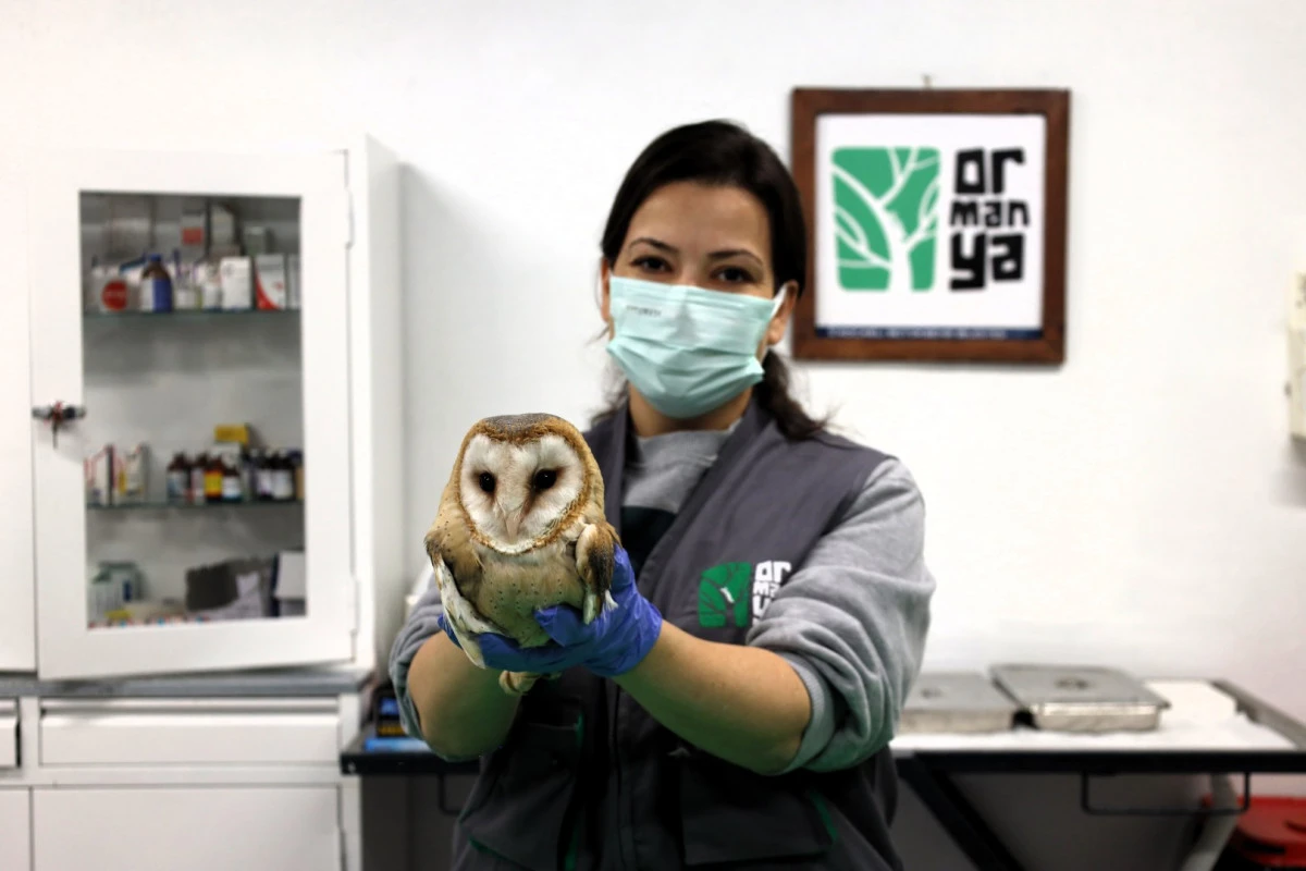 BU MERKEZ YABAN HAYVANLARINA UMUT OLUYOR