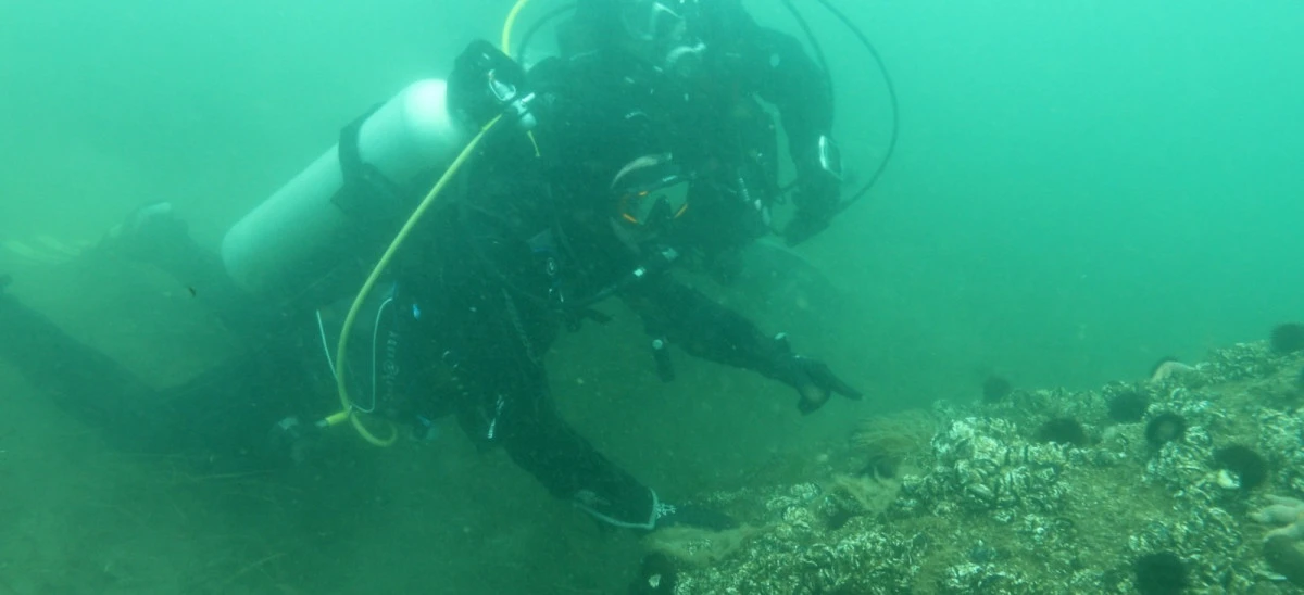 B&Uuml;Y&Uuml;KAKIN: &ldquo;DİPTEN DİRİLİŞ  T&Uuml;M MARMARA&rsquo;YA YAYILIYOR&rdquo;