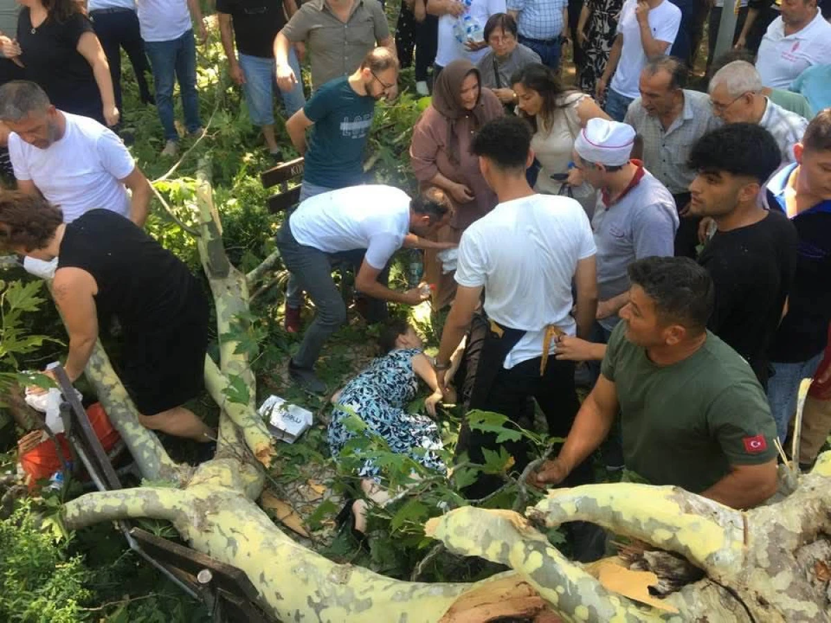 DEĞİRMENDERE'DE ÇINARIN ALTINDA KALAN 3 KİŞİ YARALANDI