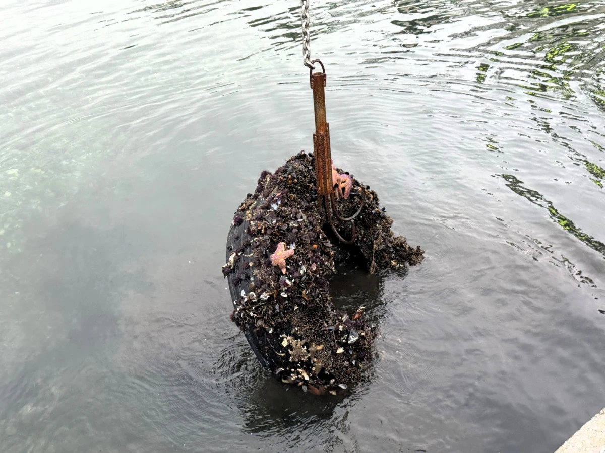 DENİZ DİBİNDEN 50 ARA&Ccedil; LASTİĞİ &Ccedil;IKARILDI