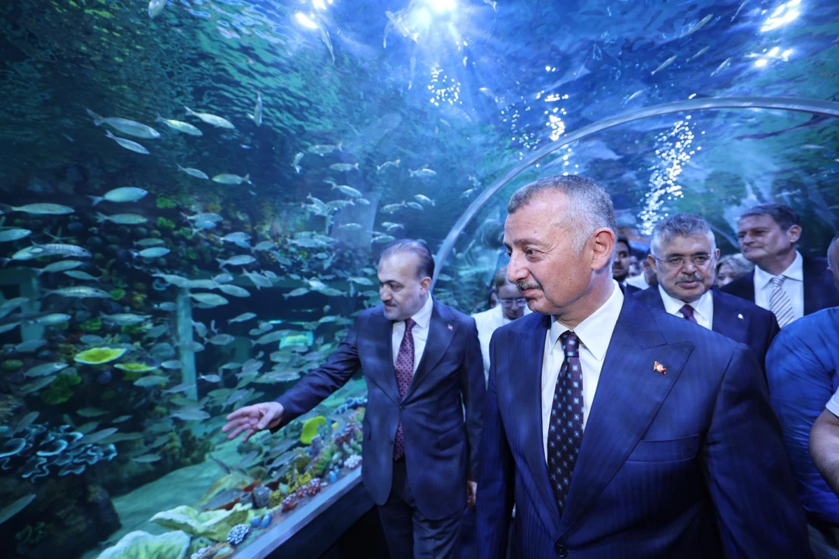 D&uuml;nya denizleri Kocaeli'ye taşındı! 