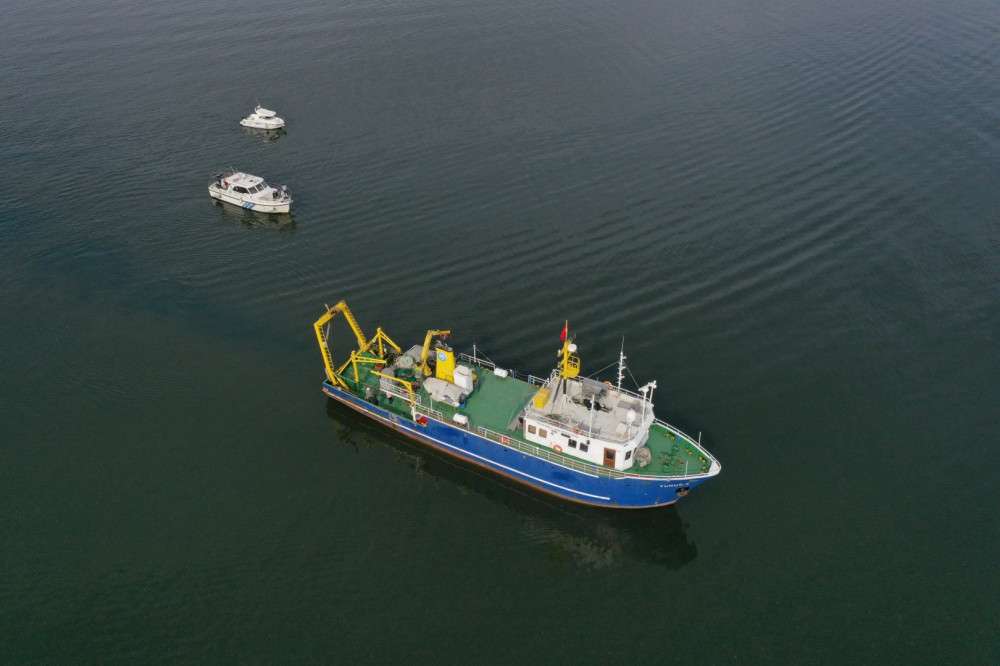 İZMİT KÖRFEZİ'NDE BİYOÇEŞİTLİLİĞİN TESPİTİ 