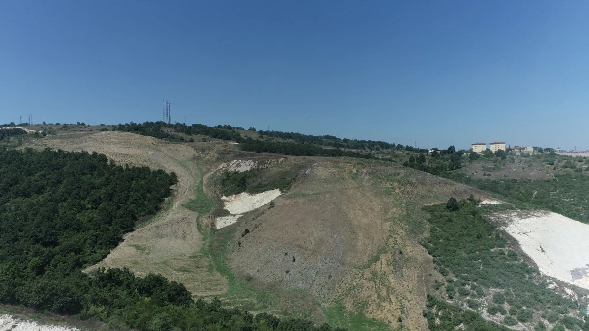 KANDIRA AKÇAKESE’YE 4.500 AĞAÇLIK DOĞAL ORMAN