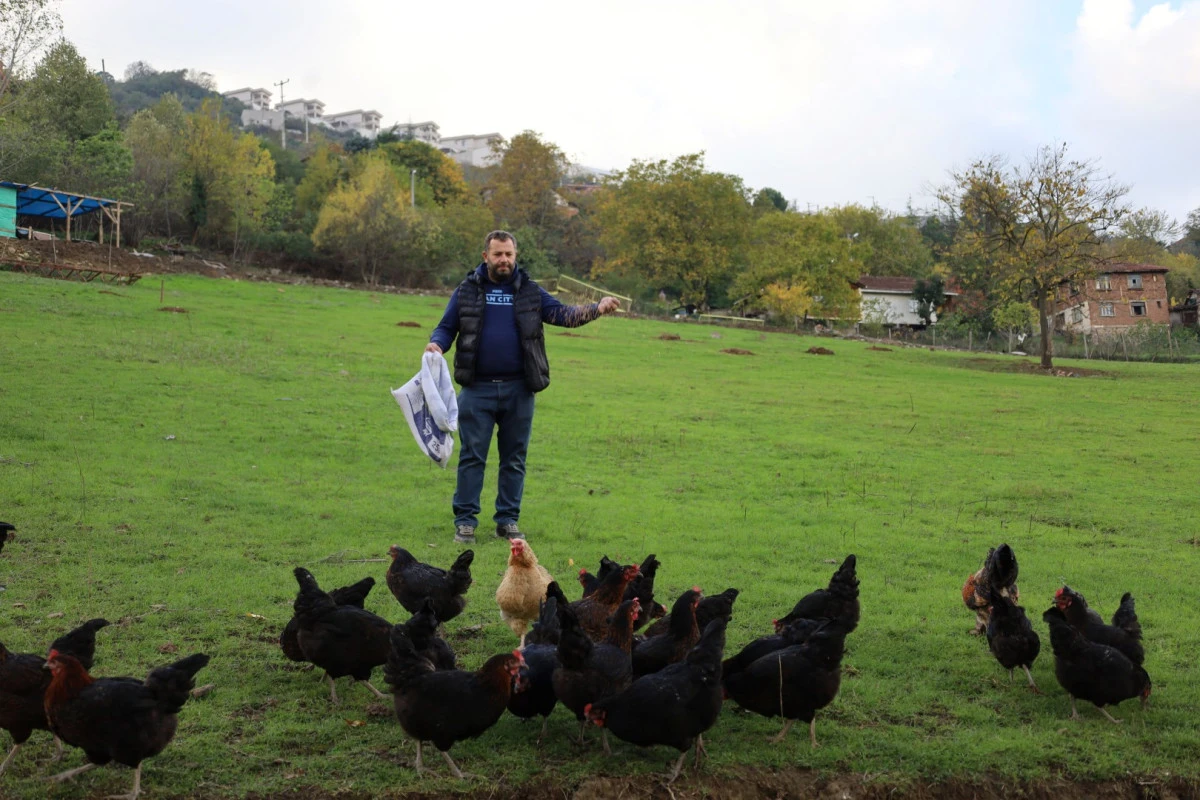 KIRSALDA GEÇİM KAPISI GÜÇLENİYOR, İSTİHDAM ARTIYOR
