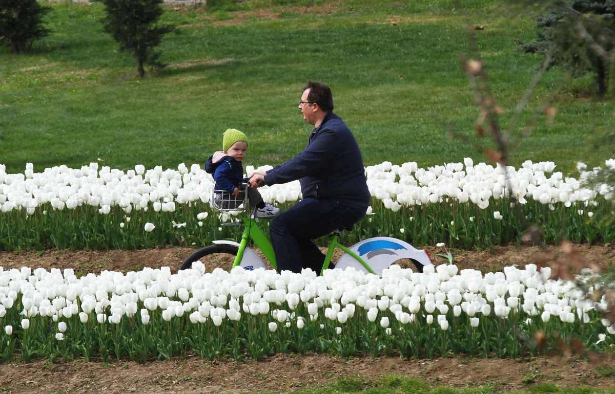 KOBİS İLE 179 BİN VATANDAŞ YAZIN TADINI ÇIKARDI