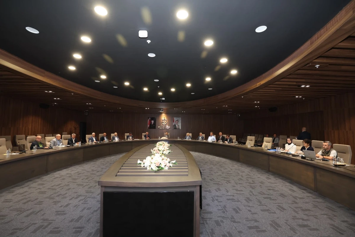 Kocaeli'de sahipsiz sokak hayvanları i&ccedil;in kritik toplantı