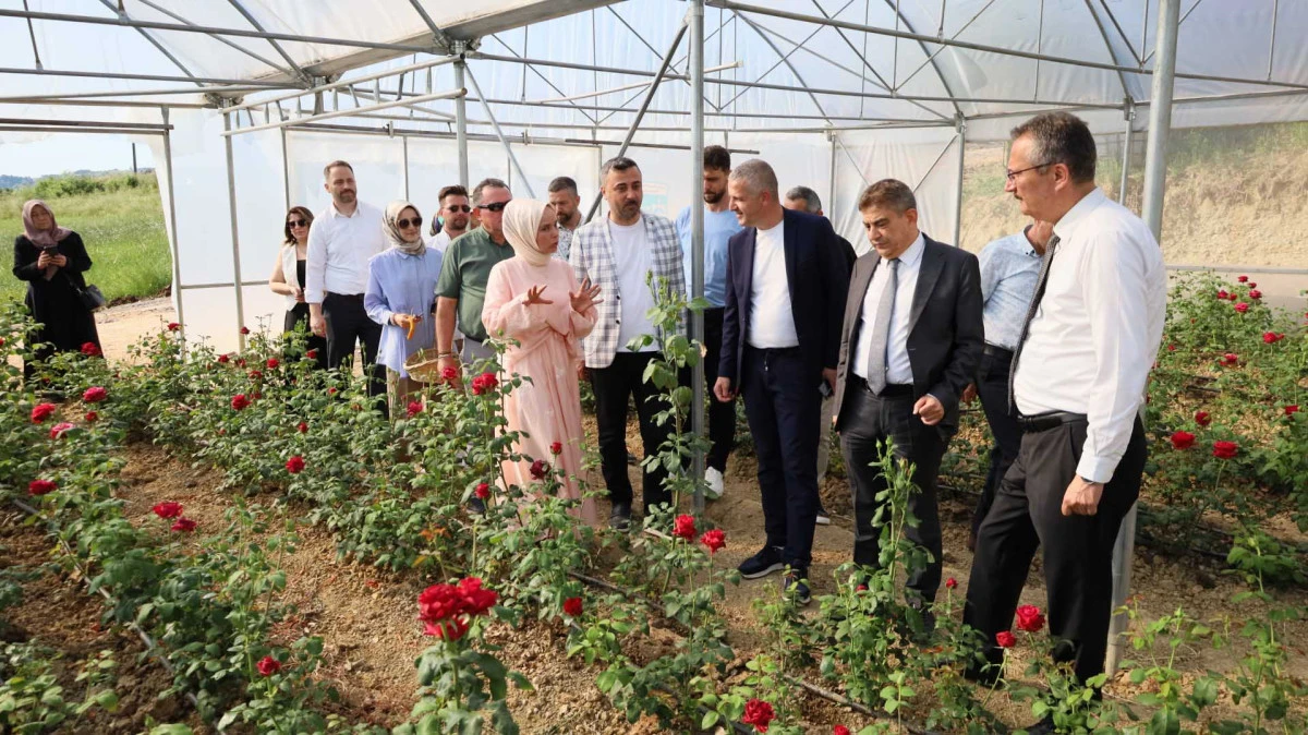 Kocaeli&rsquo;nin ilk g&uuml;l serası kadın elinden