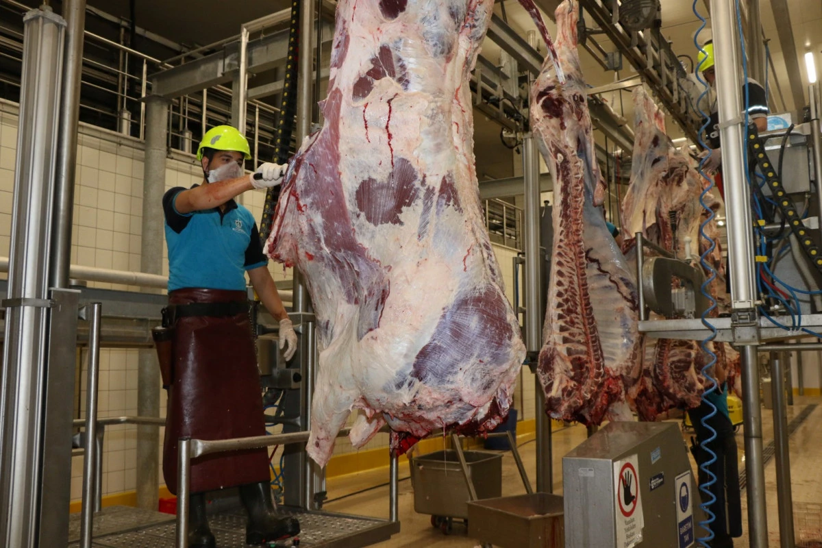 KURBAN KESİM BAŞVURULARI 11 MAYIS&rsquo;TA BAŞLIYOR