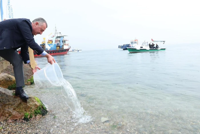 ÖLÜMÜN KIYISINDAN YENİDEN DİRİLİŞE