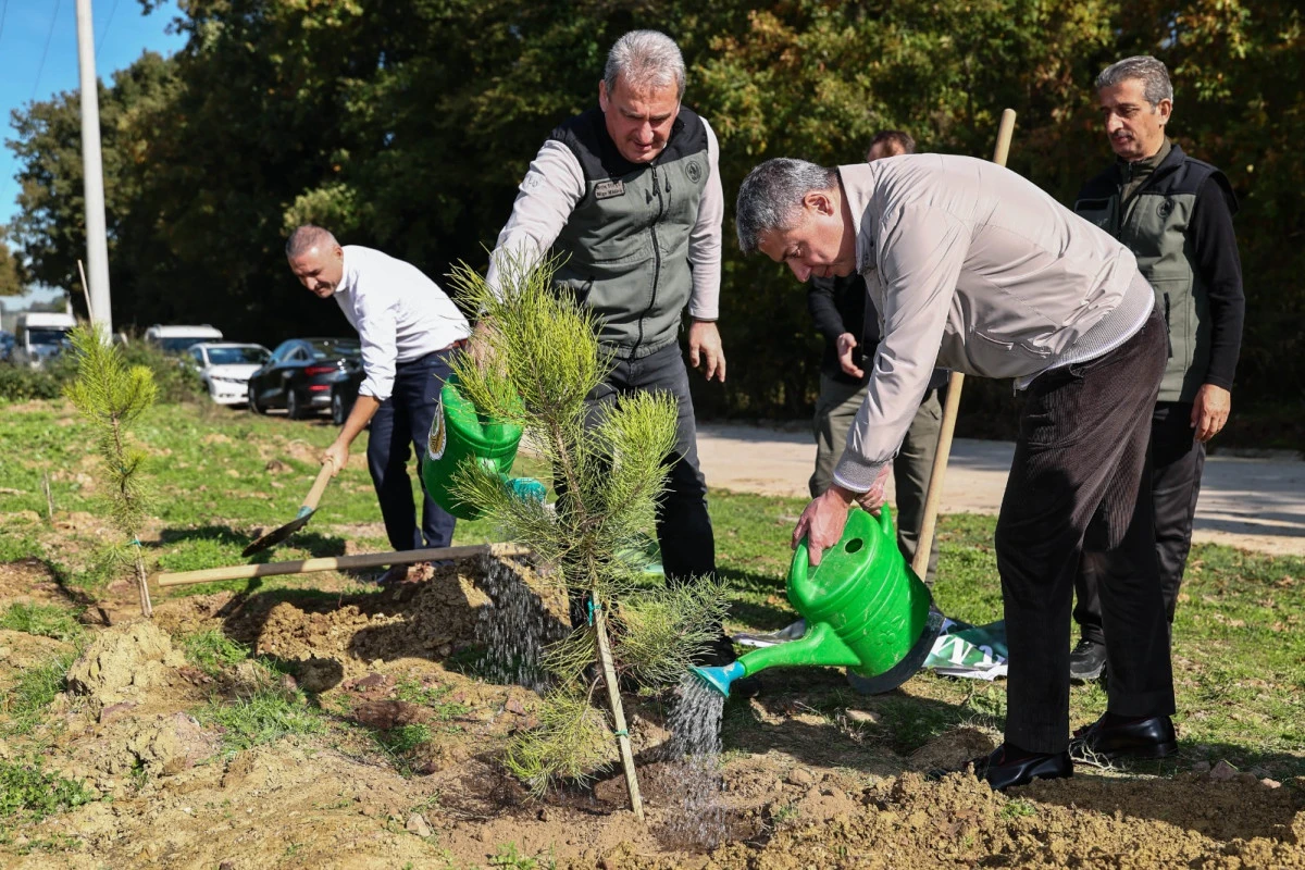 YILDIZLAR YATIRIM HOLDİNG, FEHMİ YILDIZ VAKFI HATIRA ORMANI İLE GELECEĞE UMUT OLUYOR